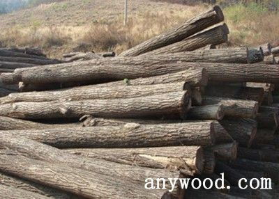 批木网 anywood.com