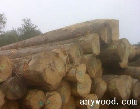 批木网 anywood.com