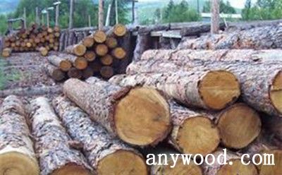 批木网 anywood.com