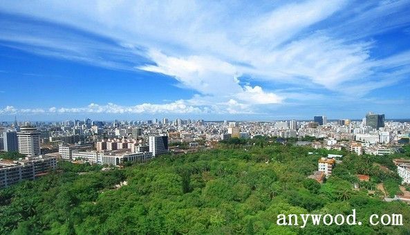 批木网 anywood.com