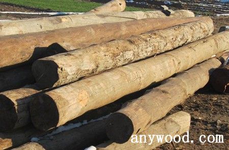 批木网 anywood.com
