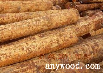 批木网 anywood.com