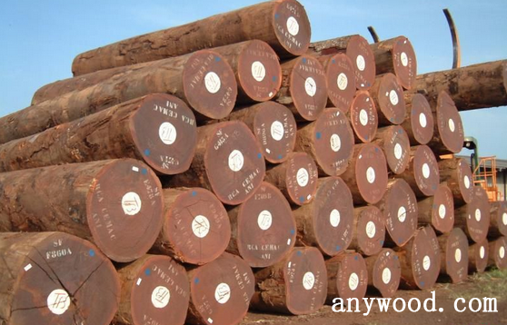 批木网 anywood.com