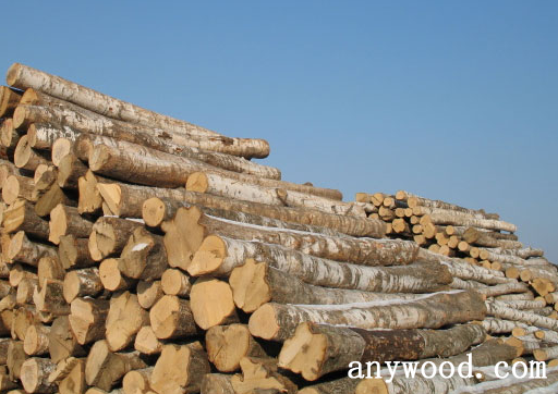 批木网 anywood.com