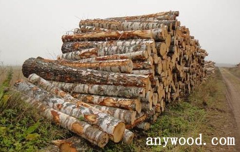 批木网 anywood.com