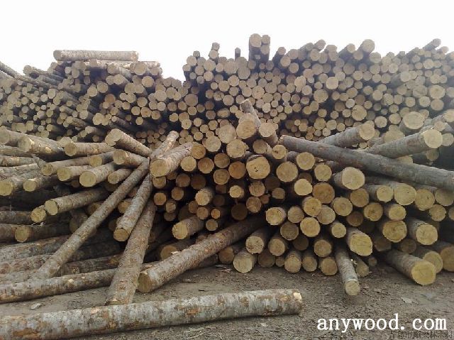 批木网 anywood.com