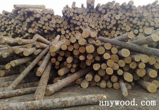 批木网 anywood.com