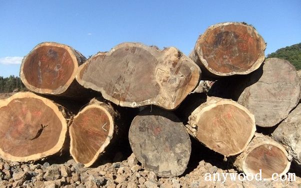 批木网 anywood.com