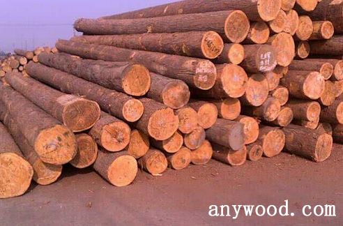 批木网 anywood.com