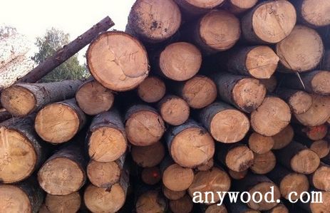 批木网 anywood.com