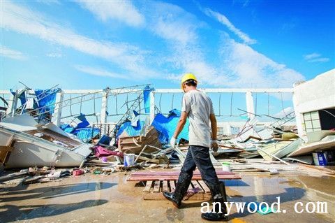 批木网  anywood.com