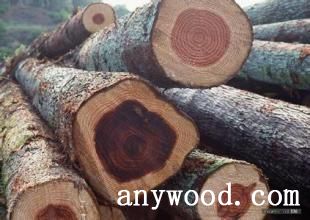 批木网  anywood.com