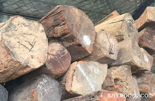 批木网  anywood.com