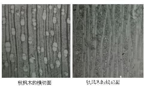 批木网 anywood.com