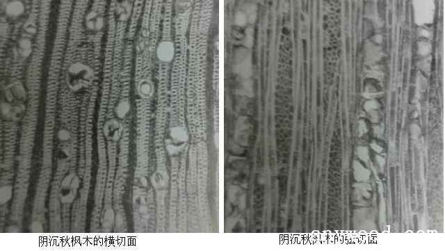 批木网 anywood.com