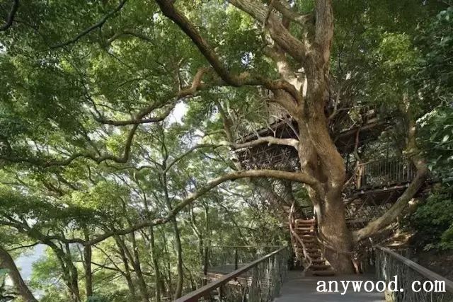 批木网 anywood.com