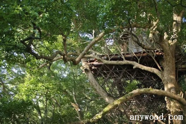 批木网 anywood.com