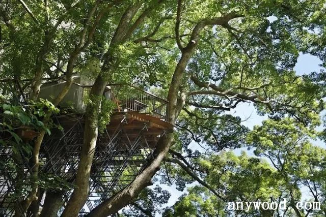 批木网 anywood.com