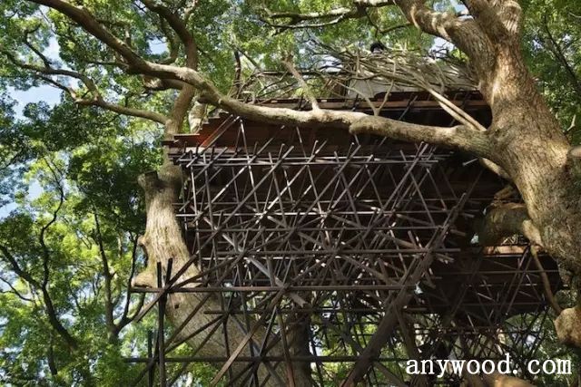 批木网 anywood.com