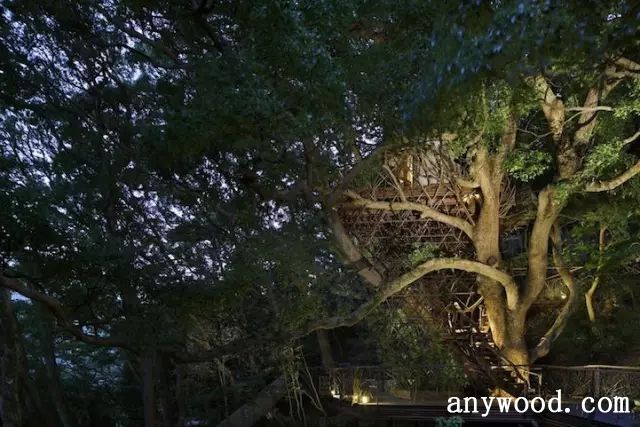 批木网 anywood.com