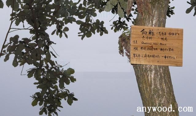 批木网 anywood.com
