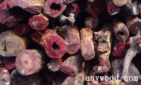 批木网  anywood.com