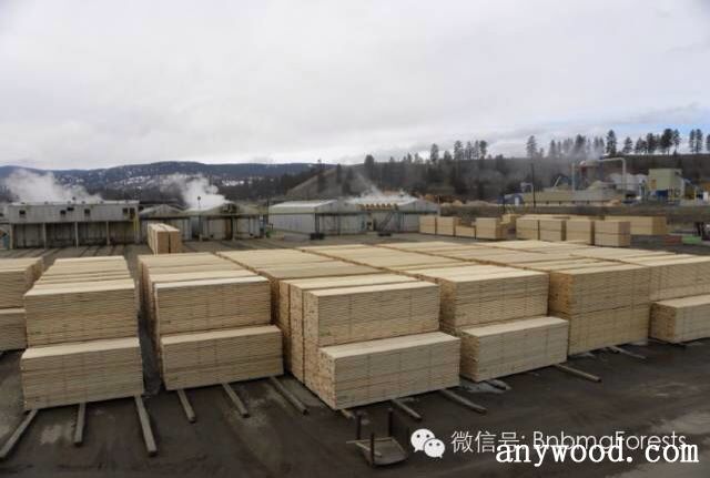 批木网  anywood.com