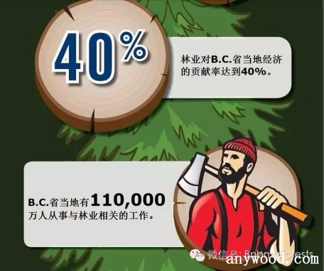 批木网  anywood.com
