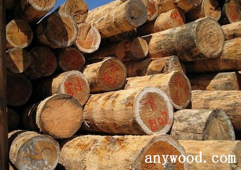 批木网  anywood.com