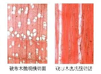 批木网 anywood.com