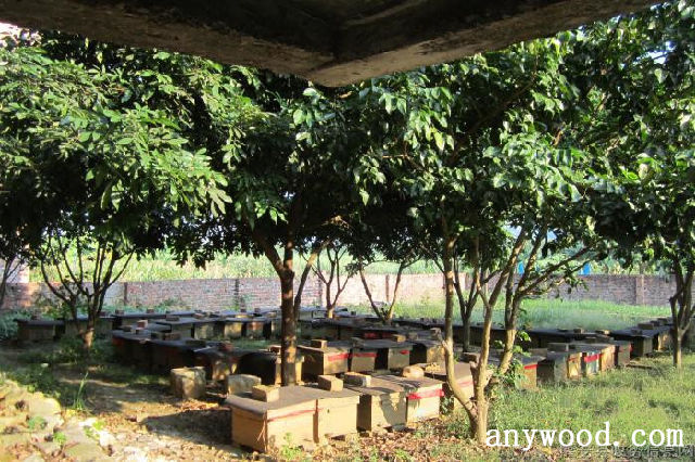 批木网  anywood.com