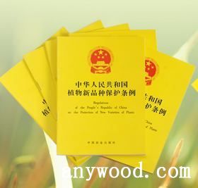 批木网 anywood.com