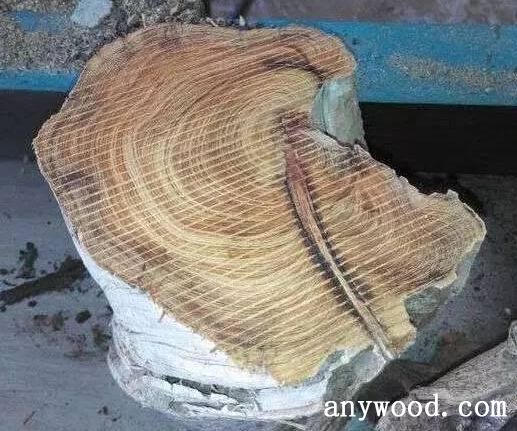 批木网 anywood.com