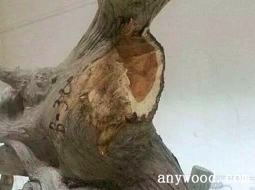 批木网 anywood.com