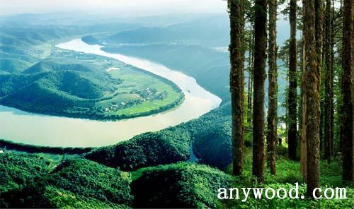 批木网 anywood.com