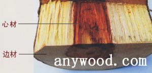 批木网 anywood.com