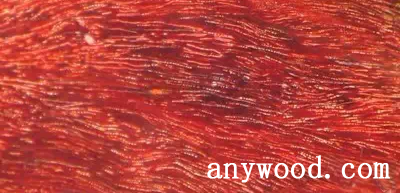 批木网 anywood.com