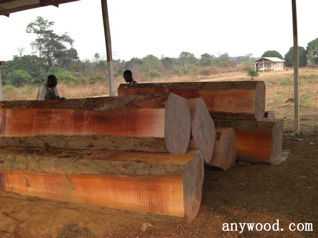 批木网 anywood.com