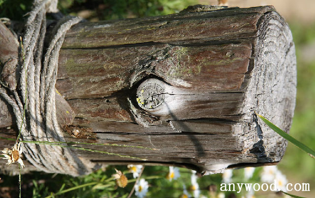 批木网 anywood.com