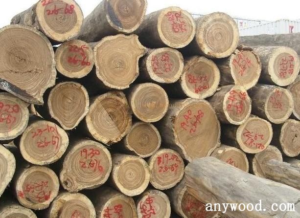 批木网 anywood.com