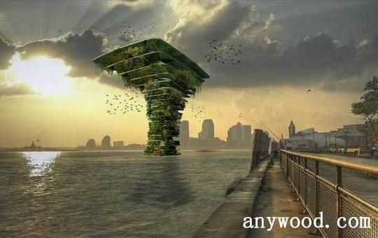 批木网 anywood.com