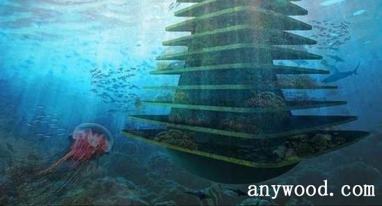 批木网 anywood.com