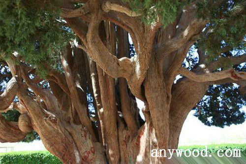 批木网 anywood.com