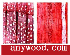 批木网 anywood.com