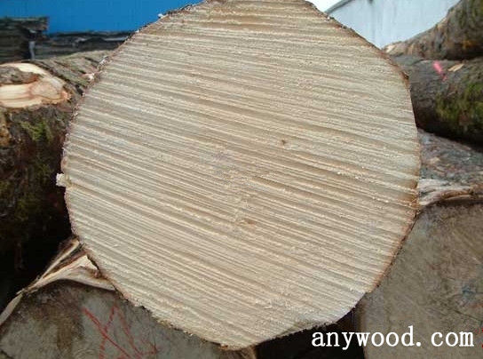 批木网 anywood.com