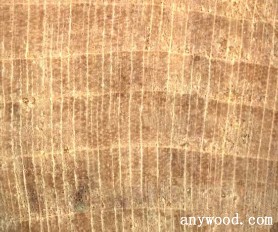 批木网 anywood.com