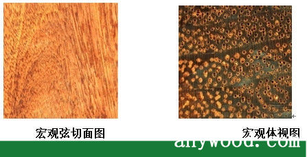 批木网 anywood.com