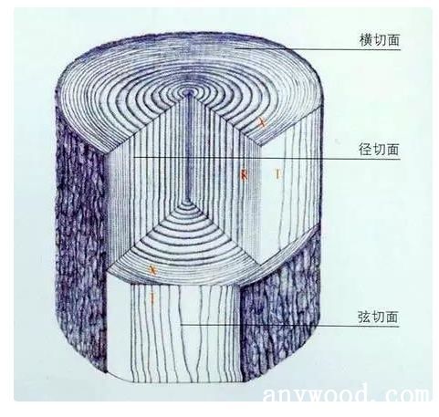批木网 anywood.com
