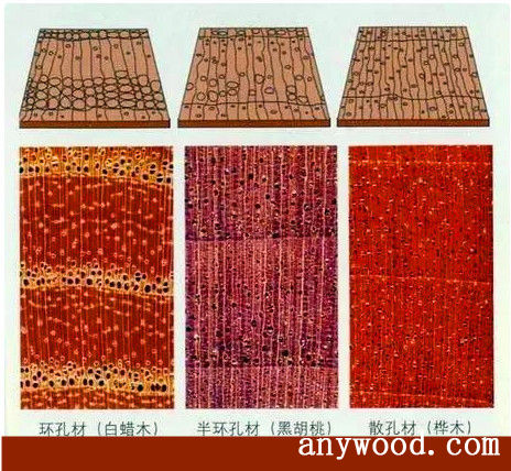批木网 anywood.com