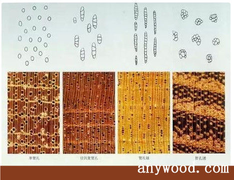 批木网 anywood.com